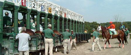 Best Pad Safety Padding on race starting gate with horses pre-race 